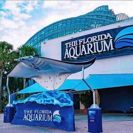 Minutes To Fairgrounds, Hard Rock, & Busch Gardens Villa Tampa Eksteriør billede
